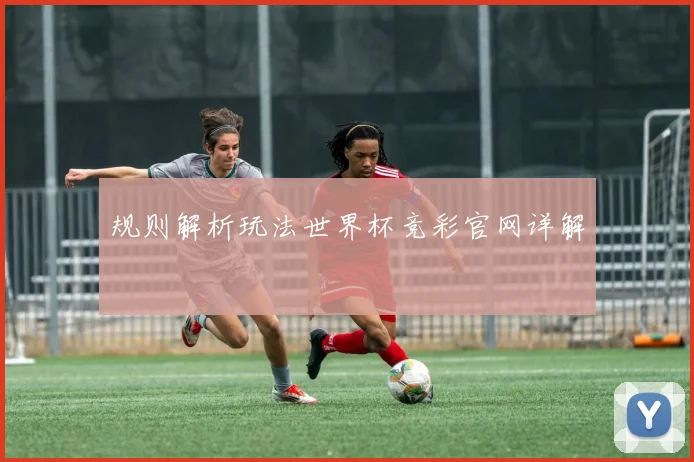 规则解析玩法世界杯竞彩官网详解