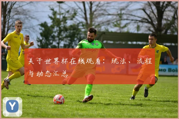 关于世界杯在线观看：玩法、流程与动态汇总