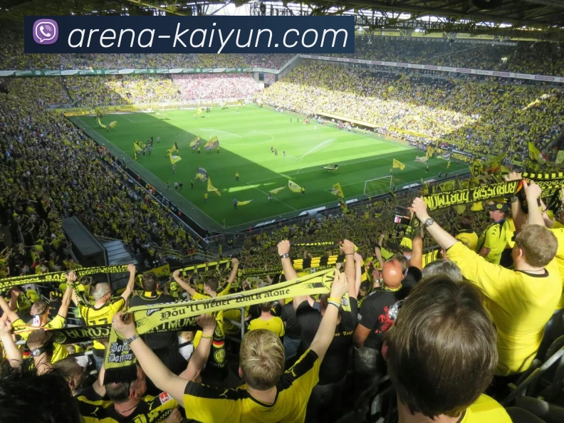 开云(kaiyun.com)全站App